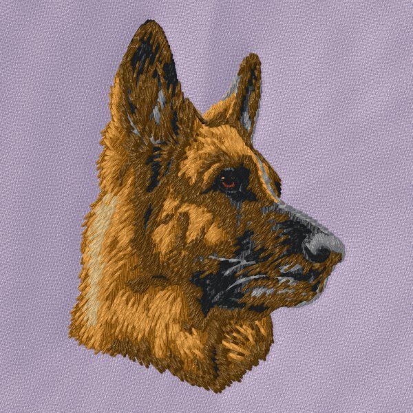German Shepherd 34