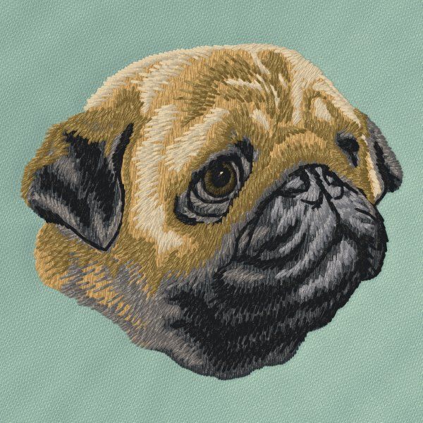 Mops 12