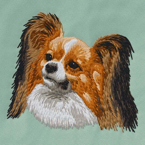 Papillon 8