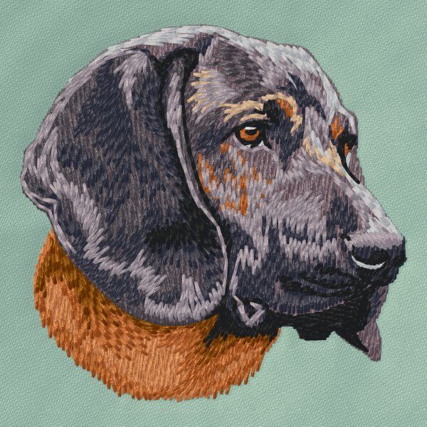 Bavarian Mountain Hound