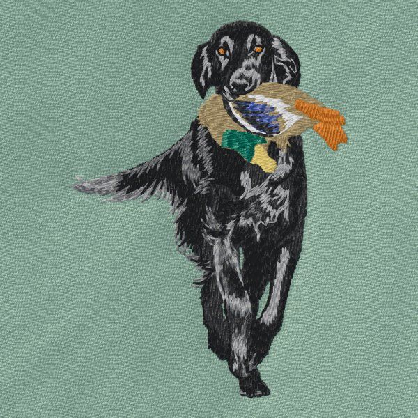 Flat Coated Retriever 4