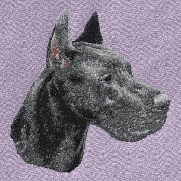 Deutsche Dogge 12