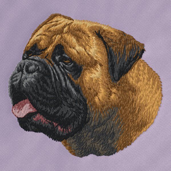 Bullmastiff 3