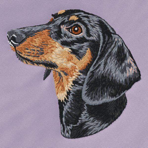Dachshund 25