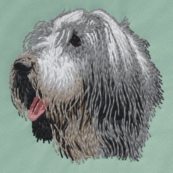 Bearded kolie 3