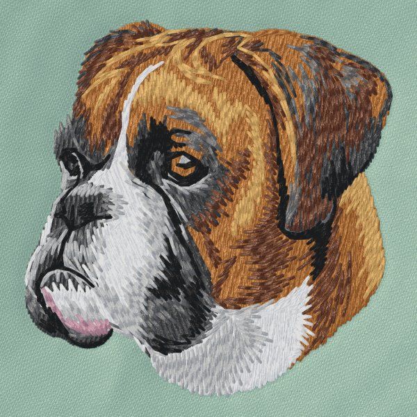 Boxer 17