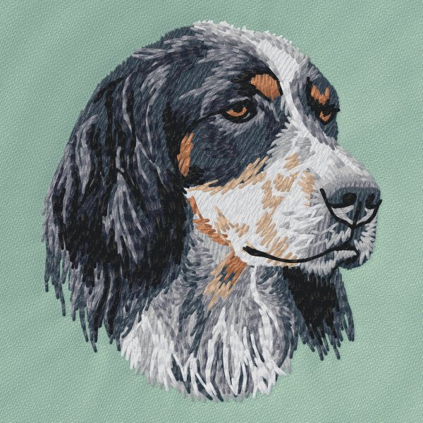 English Setter 3
