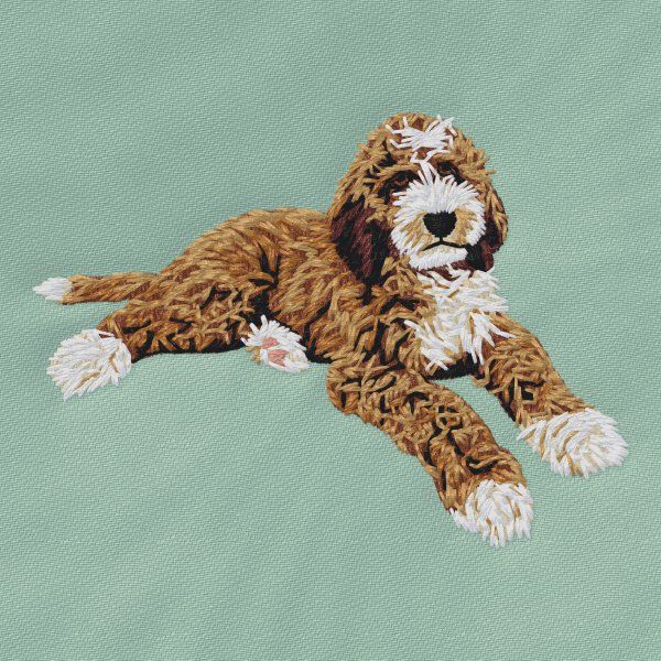 Goldendoodle 6