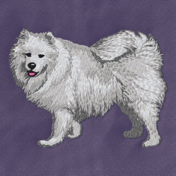 Samojed 3