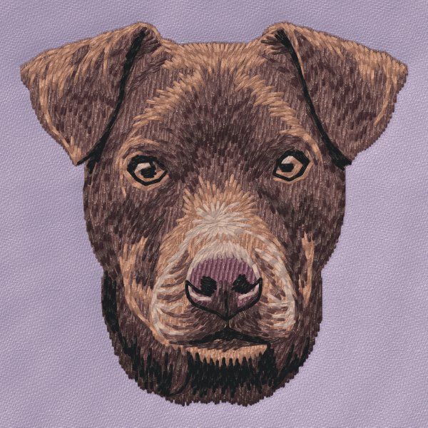 Patterdale teriér