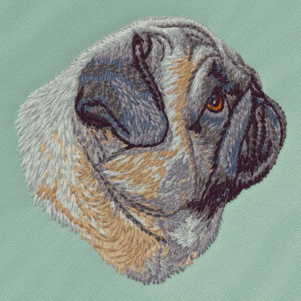 Mops 11