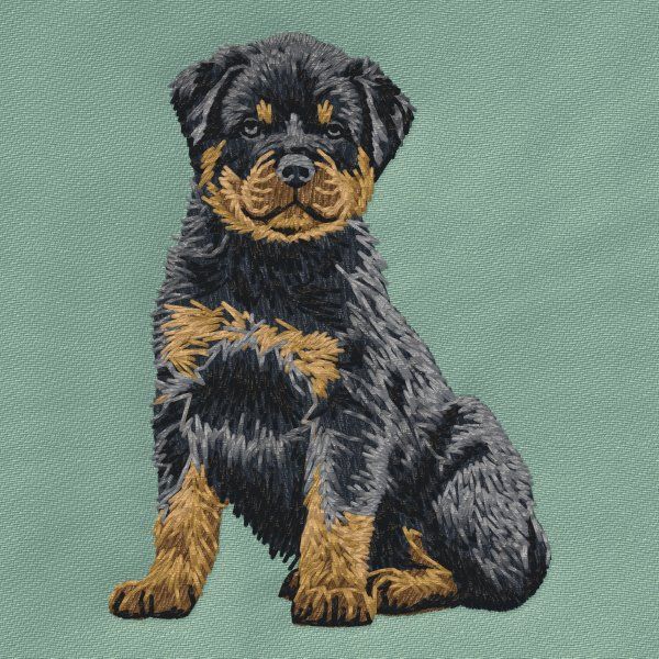 Rottweiler 15