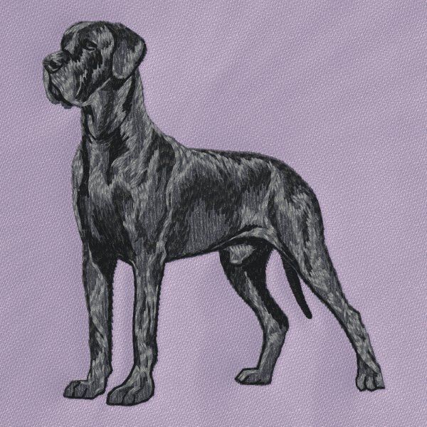 Deutsche Dogge 11