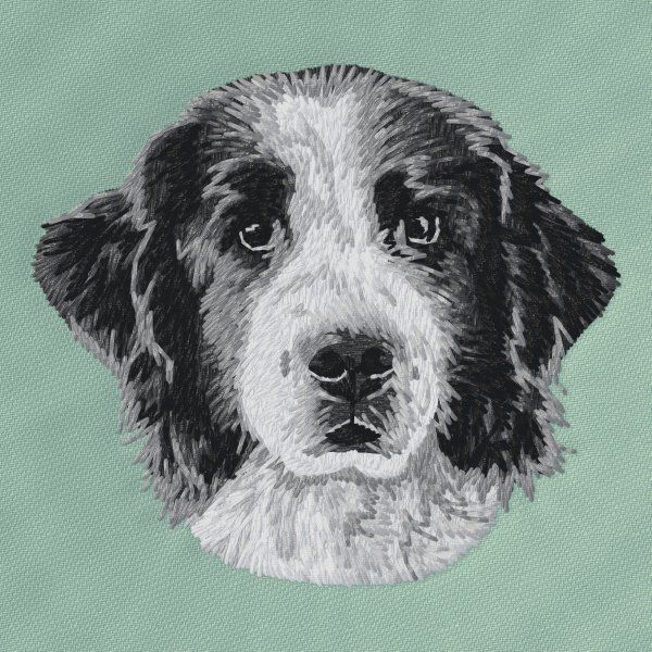 Landseer 3