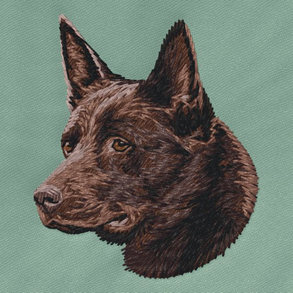 Australská kelpie 3