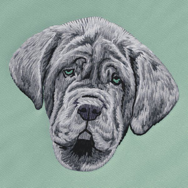Neapolitan Mastiff 1