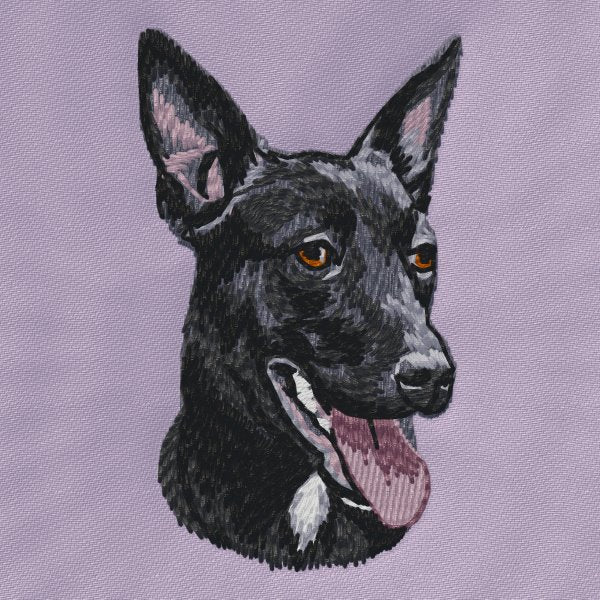 Australská kelpie 2
