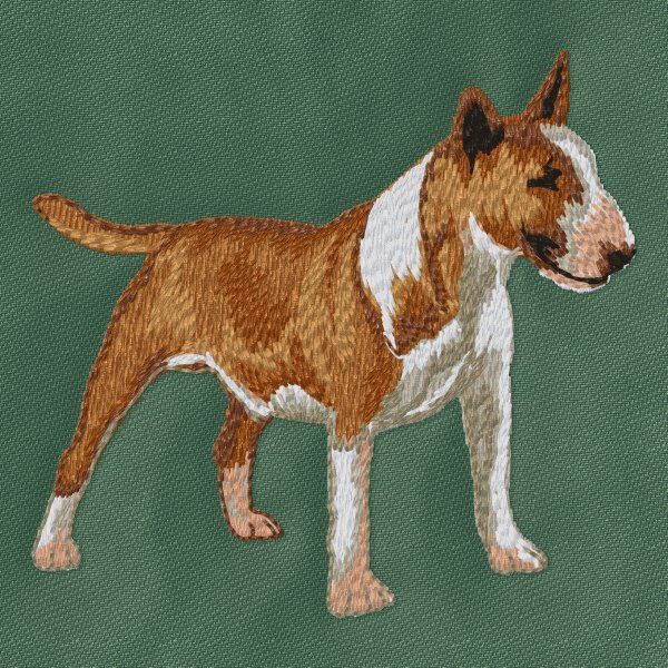 Bullterrier 5