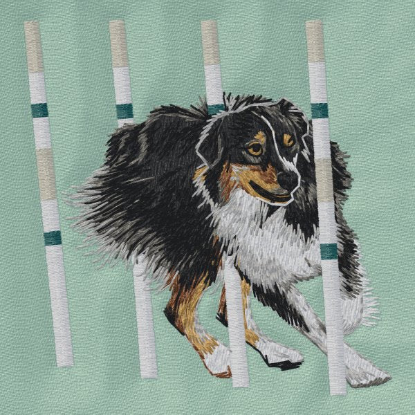 Australský ovčák - Agility 3