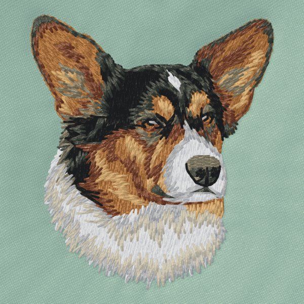 Cardigan Welsh Corgi 2