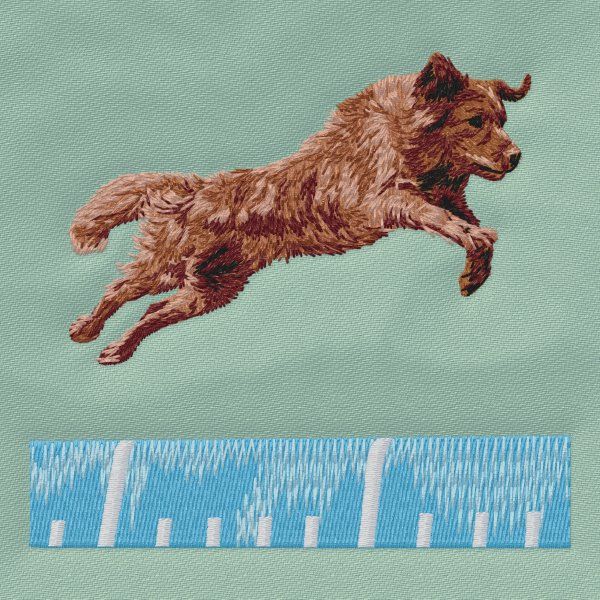 Retrívr - Agility