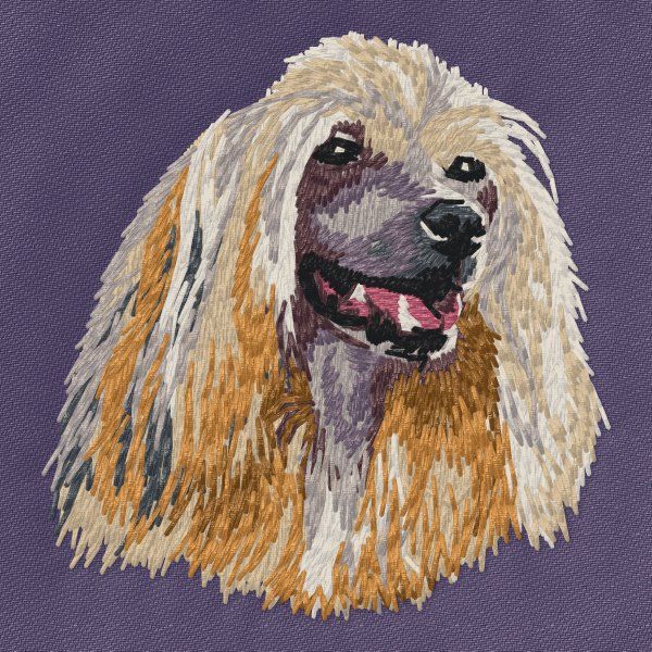 Chinese Crested Dog 7