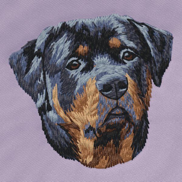 Rottweiler 12