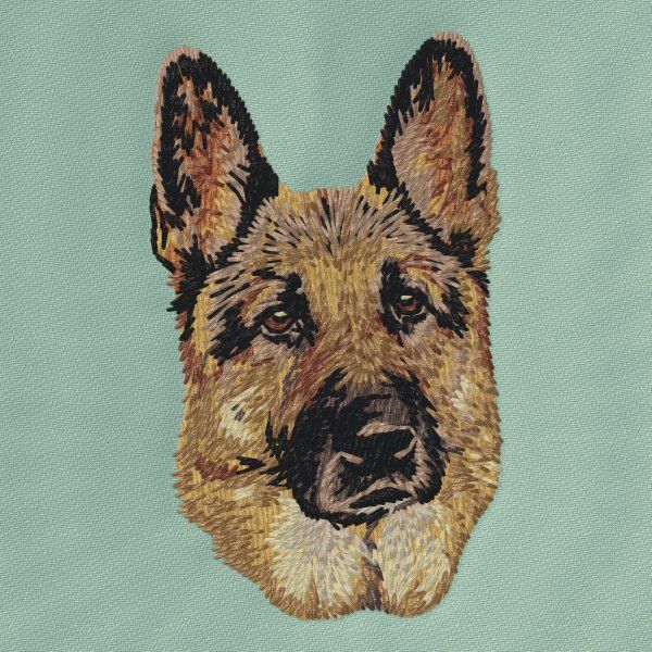 German Shepherd 27