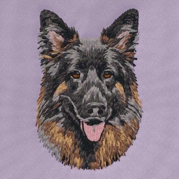 Deutscher Schäferhund 25
