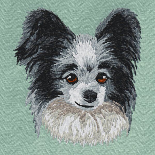 Papillon 7