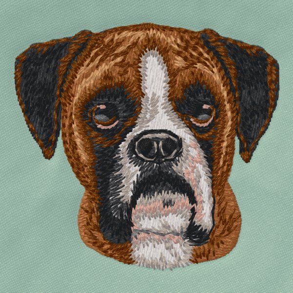 Deutscher Boxer 14