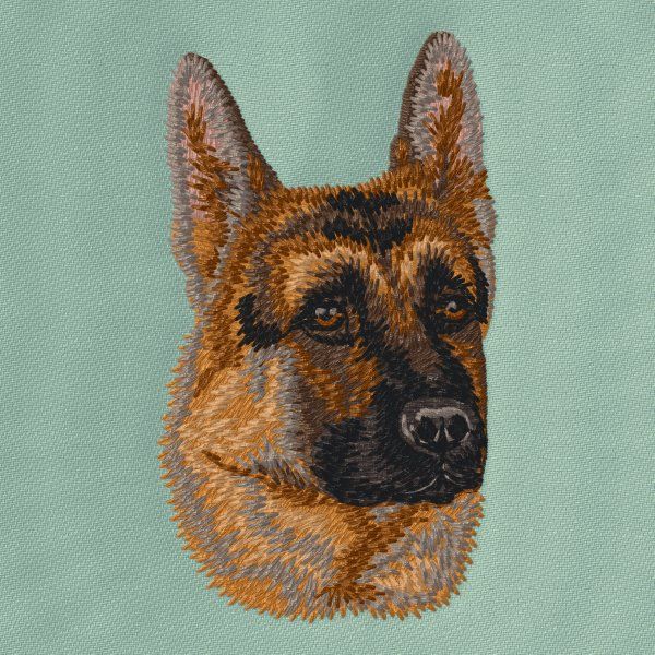 German Shepherd 23