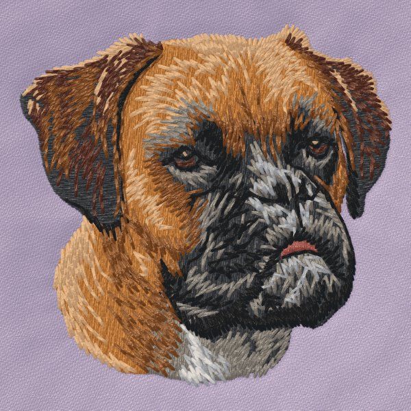 Boxer 13