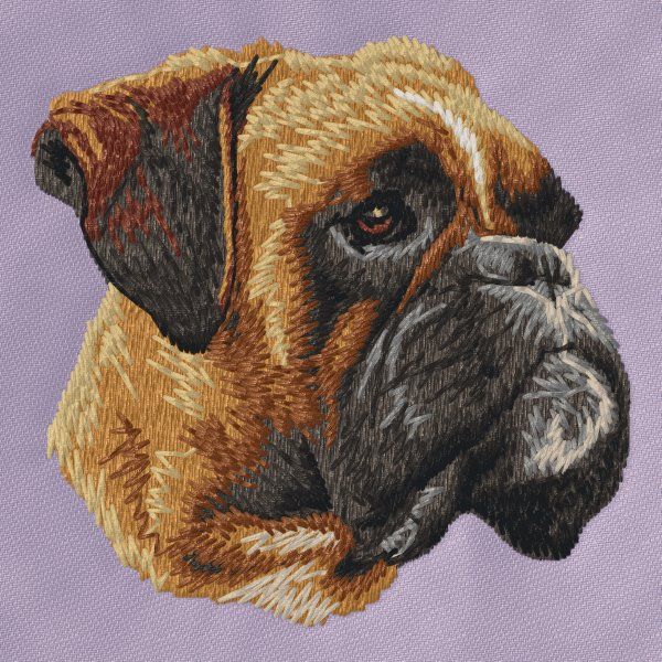Boxer 12