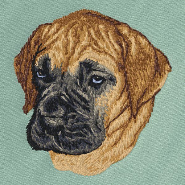 Great Dane 9