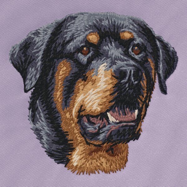 Rottweiler 11