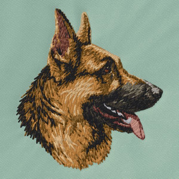 Deutscher Schäferhund 21