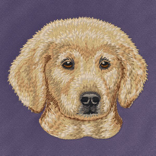 Golden Retriever 18