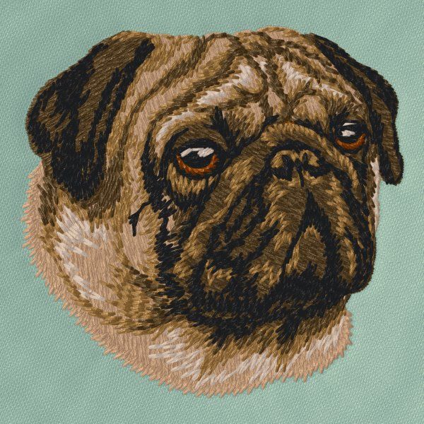 Mops 7