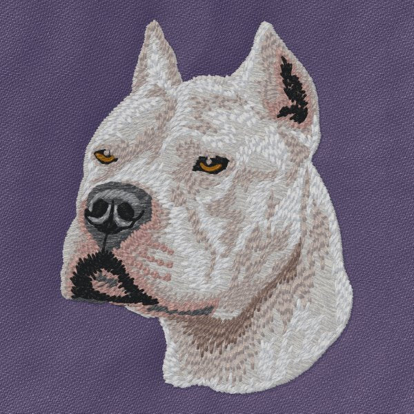 American Pit Bull Terrier 4