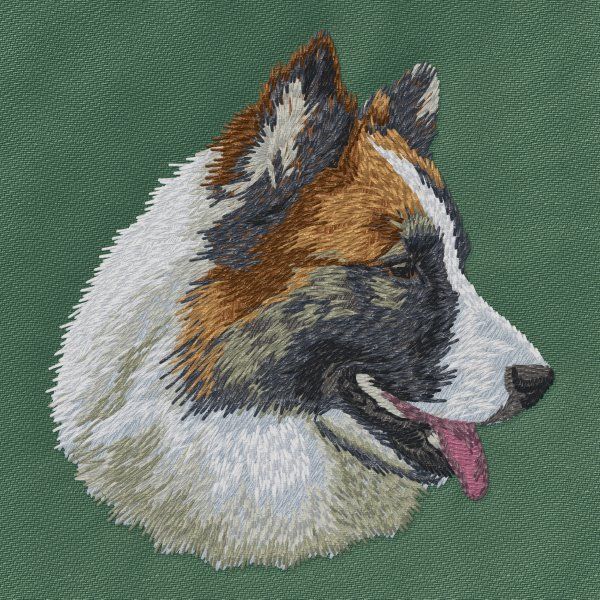 Icelandic Sheepdog