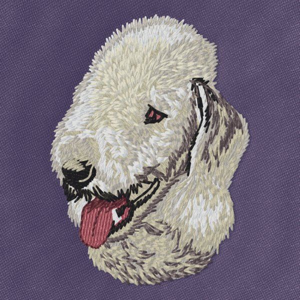 Bedlington teriér 3