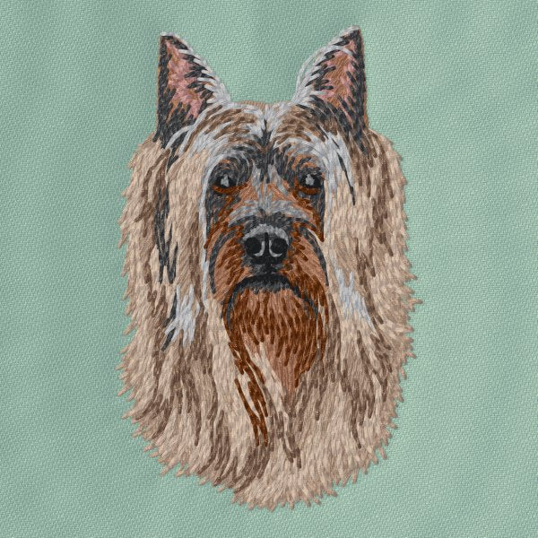 Australský silky teriér 6