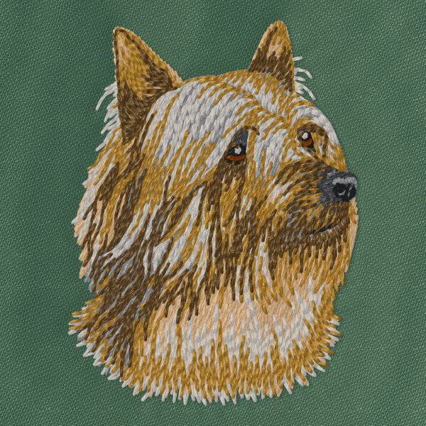 Australský silky teriér 4