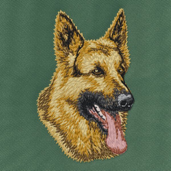 Deutscher Schäferhund 17
