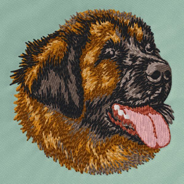 Leonberger 3