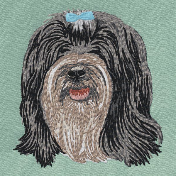 Tibetan Terrier 3