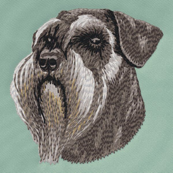 Schnauzer 7