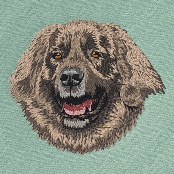 Leonberger 2