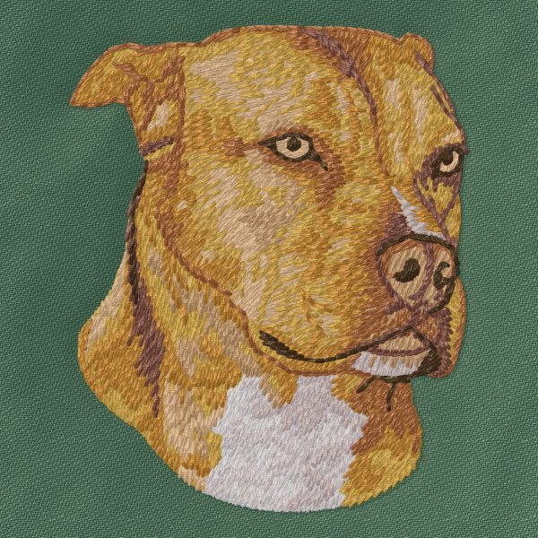 American Pit Bull Terrier 1